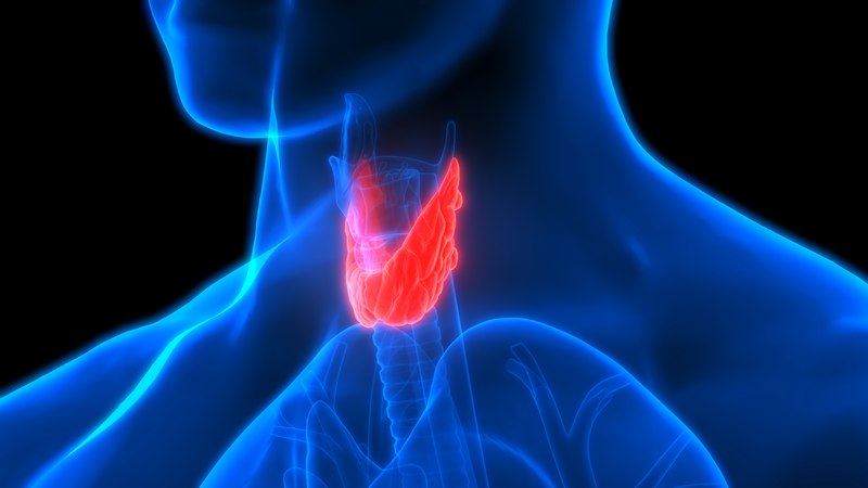 Hypothyroidism-Fircrest-WA