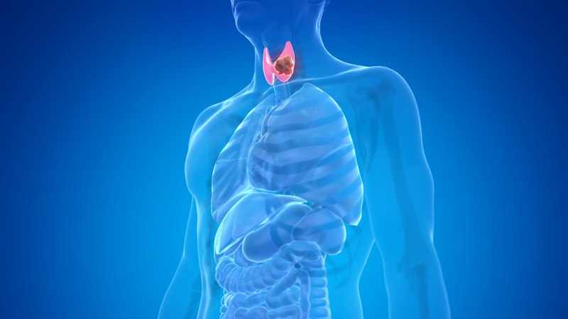 Thyroid-Problems-Fircrest-WA