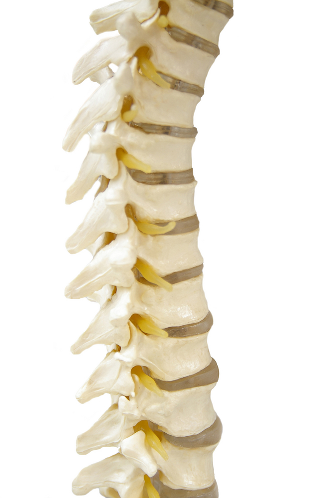 Upper-Back-Pain-Frederickson-WA