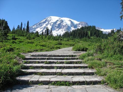 Holistic-Medicine-Lake-Tapps-WA