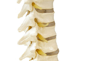 Lakewood Local Chiropractors Lakewood local chiropractors available in WA near 98498